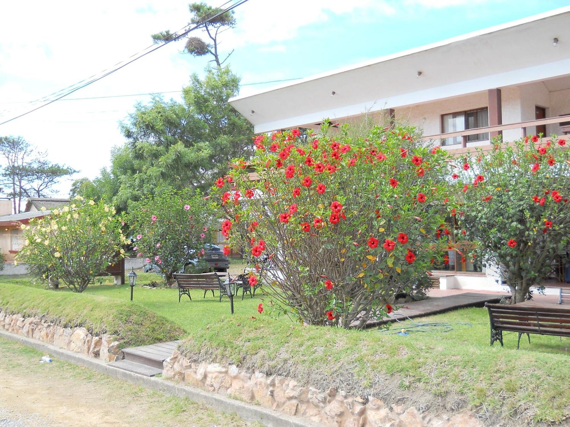 Hotel Yeruti La Paloma Luaran gambar